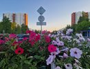 Выходные в Челнах: куда пойти 24 и 25 августа