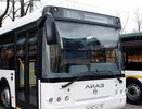 Проблема решена: в Челны доставят еще 40 автобусов