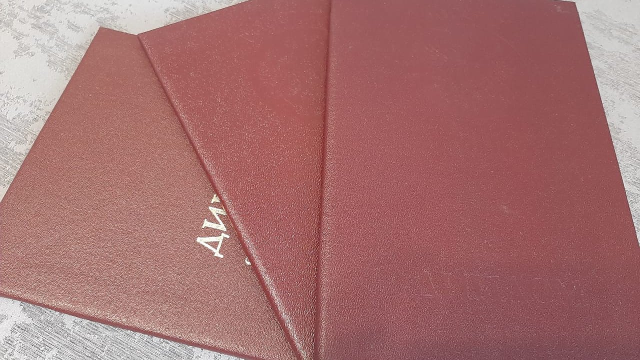 Главная картинка новости: В Тукаевском районе женщина устроилась в Исполком, предъявив липовый диплом