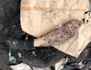 На мусоросортировочном предприятии в Челнах нашли ногу человека