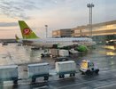 Прокуратура проверит соблюдение прав пассажиров авиарейсов, задержанных в Челнах и Казани