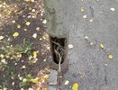 А если током ударит? Небезопасные столбы в городе