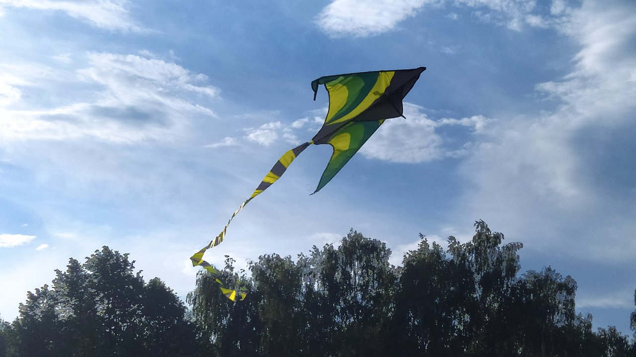 Главная картинка новости: В Челнах провели фестиваль воздушных змеев (фото)