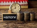 Челнинцы могут получить имущественный налоговый вычет в упрощенном порядке