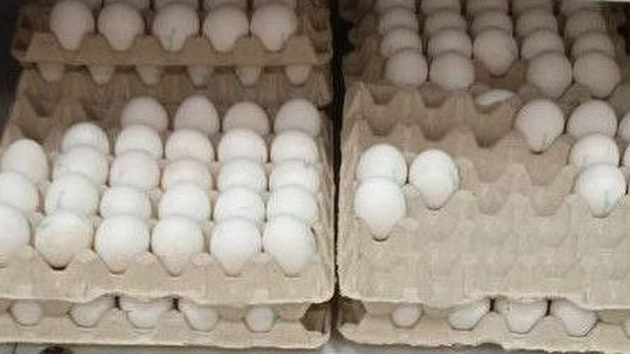 Главная картинка новости: В Челнах заканчивают работу сельхозярмарки 