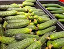 Огурцы в Татарстане за неделю подорожали на 15%