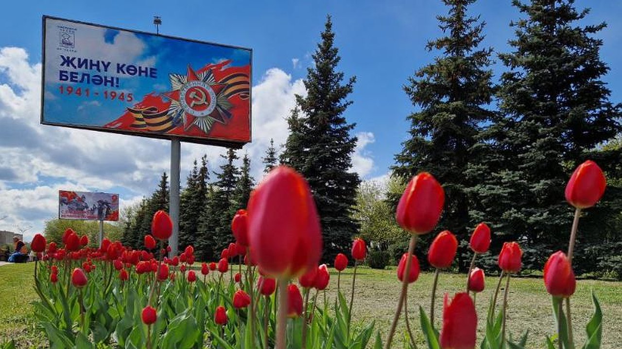 Главная картинка новости: В Челнах проживает 428 ветеранов ВОв