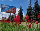 В Челнах проживает 428 ветеранов ВОв