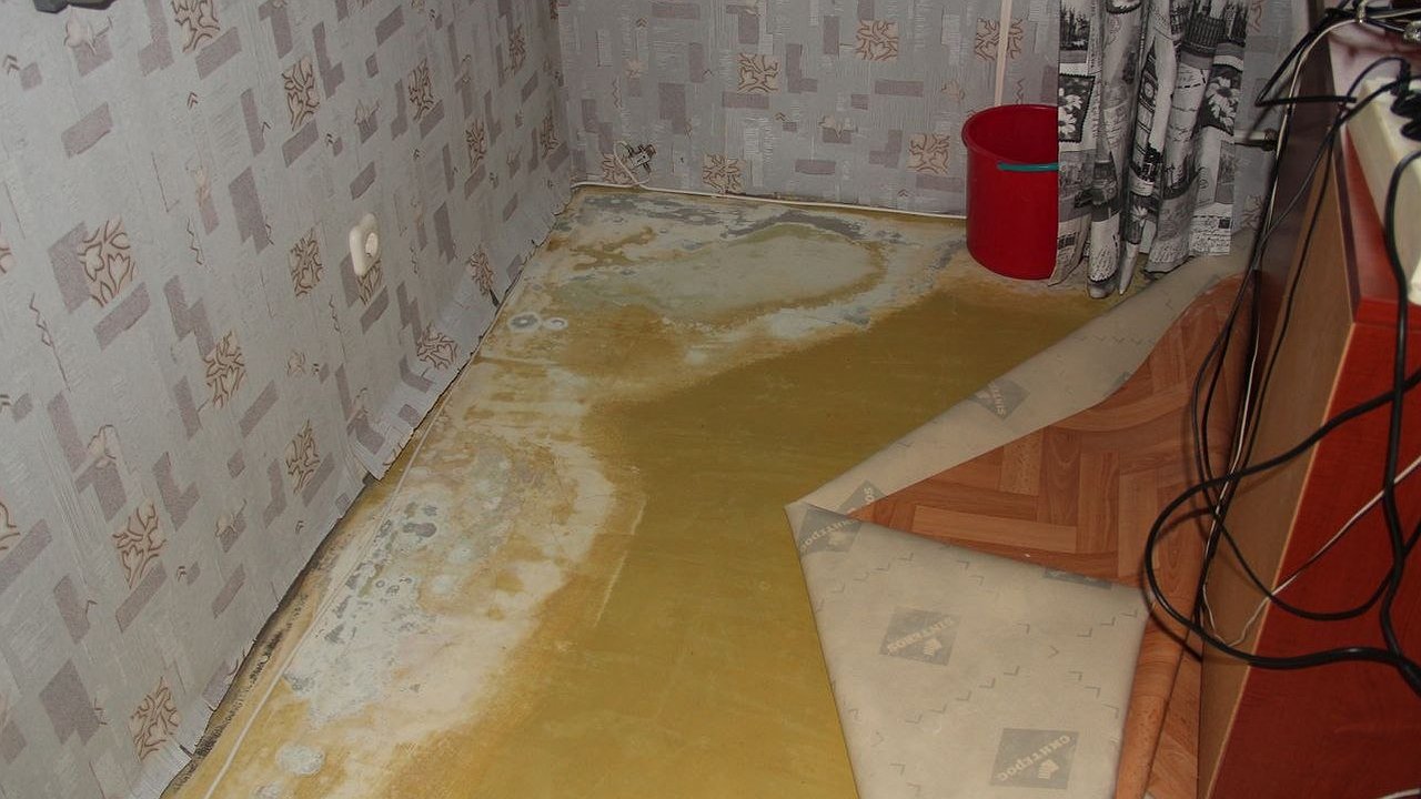 Главная картинка новости: «Твой дом» выплатит челнинке за затопленную квартиру почти 300 тысяч рублей