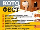 Нашествие пушистиков: в Челнах пройдет котофест