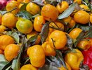 Символ Нового года не для всех: обзор цен на мандарины в магазинах Челнов