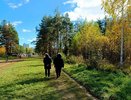 В Челнах для пенсионеров откроют спортклуб с бесплатными занятиями