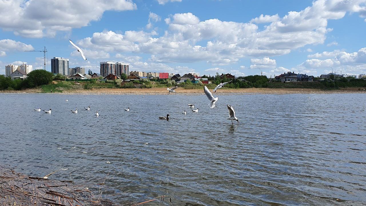 Главная картинка новости: Расчистка Мелекески продолжится в 2025 году 