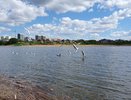 Расчистка Мелекески продолжится в 2025 году 