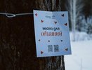 В парке Челнов появилось место для объятий 