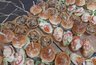 Миниатюра новости: Ожирение, нерациональное питание, низкая физическая активность и др.