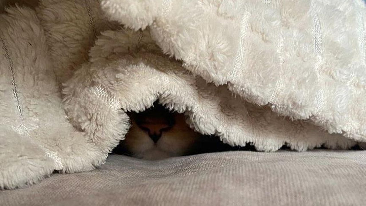 Главная картинка новости: Опрос: в каждой десятой квартире Челнов нет отопления