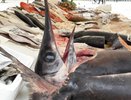 День защитника Отечества в Челнах: что подарить на 23 февраля