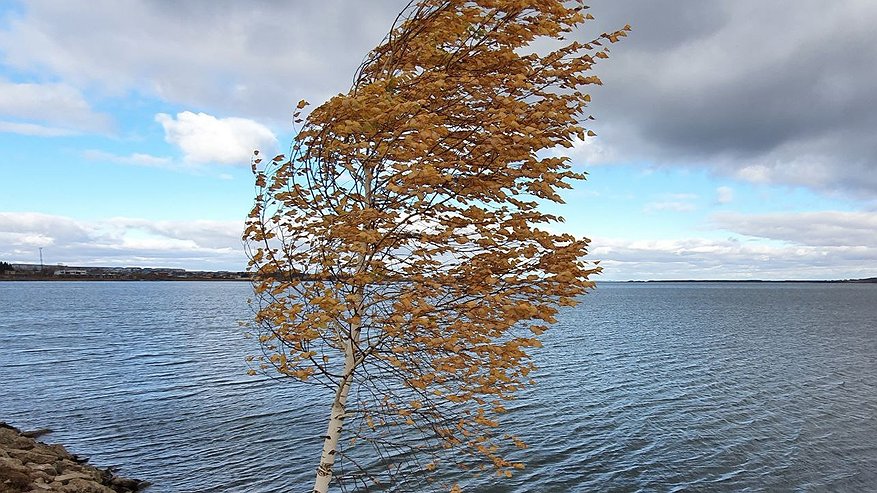Главная картинка новости: В Татарстане объявлено штормое предупреждение – ожидается очень сильный ветер 