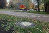 Миниатюра новости:  «И зачем свинарник устраивать?»