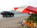 В Челнах «полиция кошмарит» продавцов-обочечников»