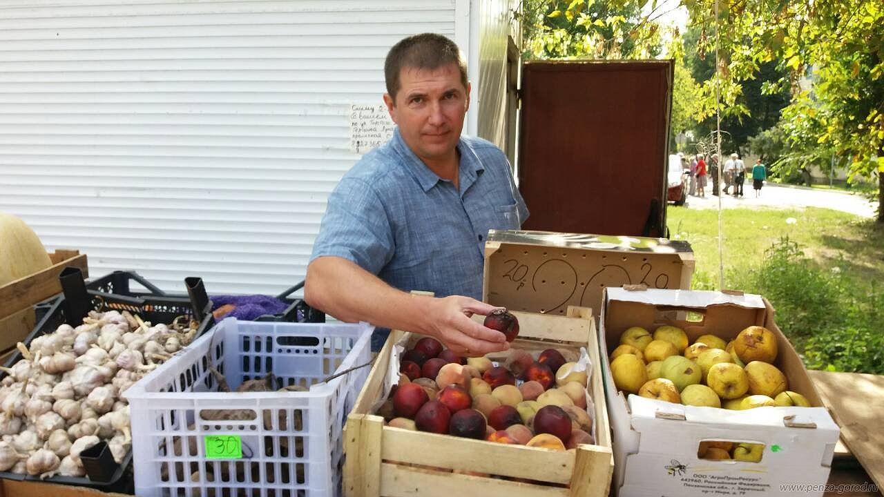 Главная картинка новости: Уличная торговля: за проданную дыню теперь можно получить серьезное наказание!