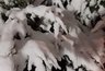 Миниатюра новости: Уходим на минус: в выходные в Татарстане похолодает до -7° С
