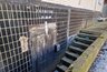Миниатюра новости: На Госуслугах появится раздел с адресами бомбоубежищ
