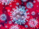 Ученые разработали светильник, убивающий коронавирус