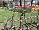 В выходные Татарстан попадет под влияние северной холодной воздушной массы