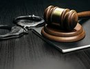 В Татарстане жители села похитили с территории агрофермы резиновые настилы и электродвигатель