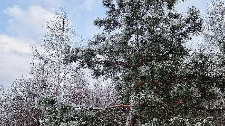 Главная картинка новости: В Татарстан придут метели и ледяной дождь