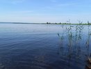 В Челнах владелец участка на берегу реки сбрасывал весь мусор в Мелекеску