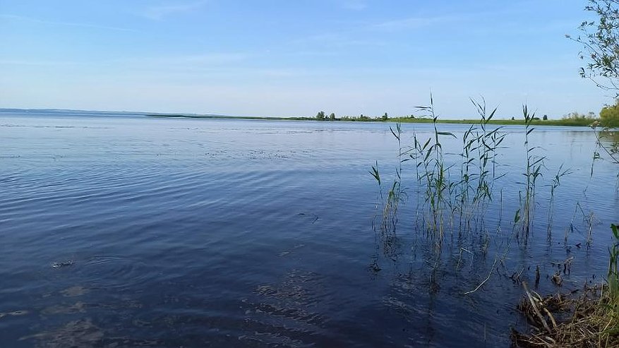 Главная картинка новости: В Челнах владелец участка на берегу реки сбрасывал весь мусор в Мелекеску