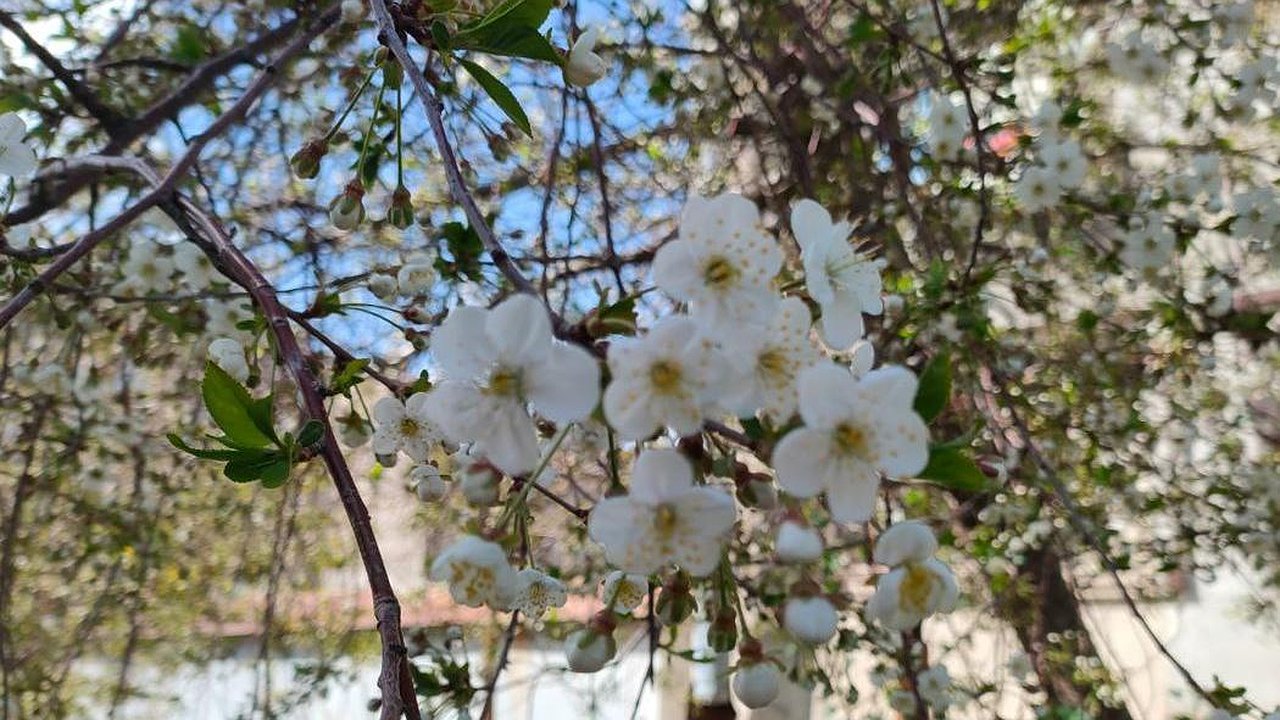 Главная картинка новости: Жители Татарстана уходят на майские каникулы