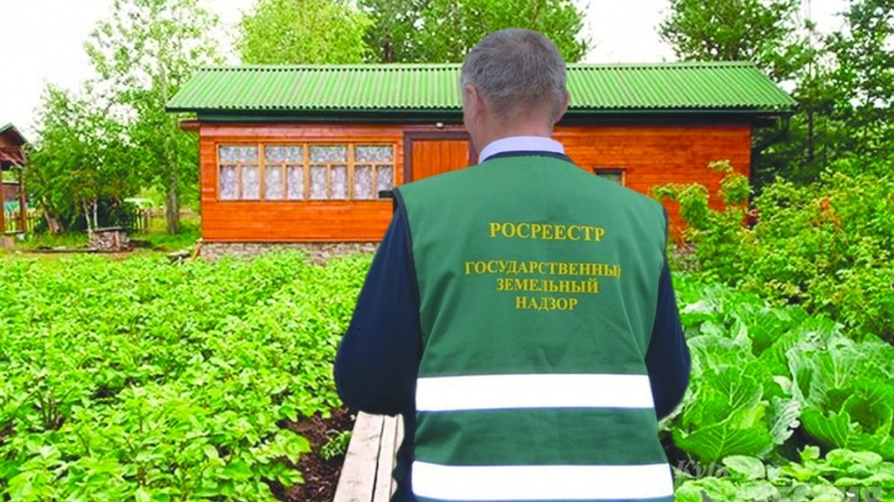 Главная картинка новости: Кто ответит дачникам на интересующие их вопросы?