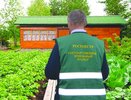 Кто ответит дачникам на интересующие их вопросы?