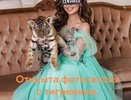 В Набережных Челнах у фотографа отобрали измученного тигренка