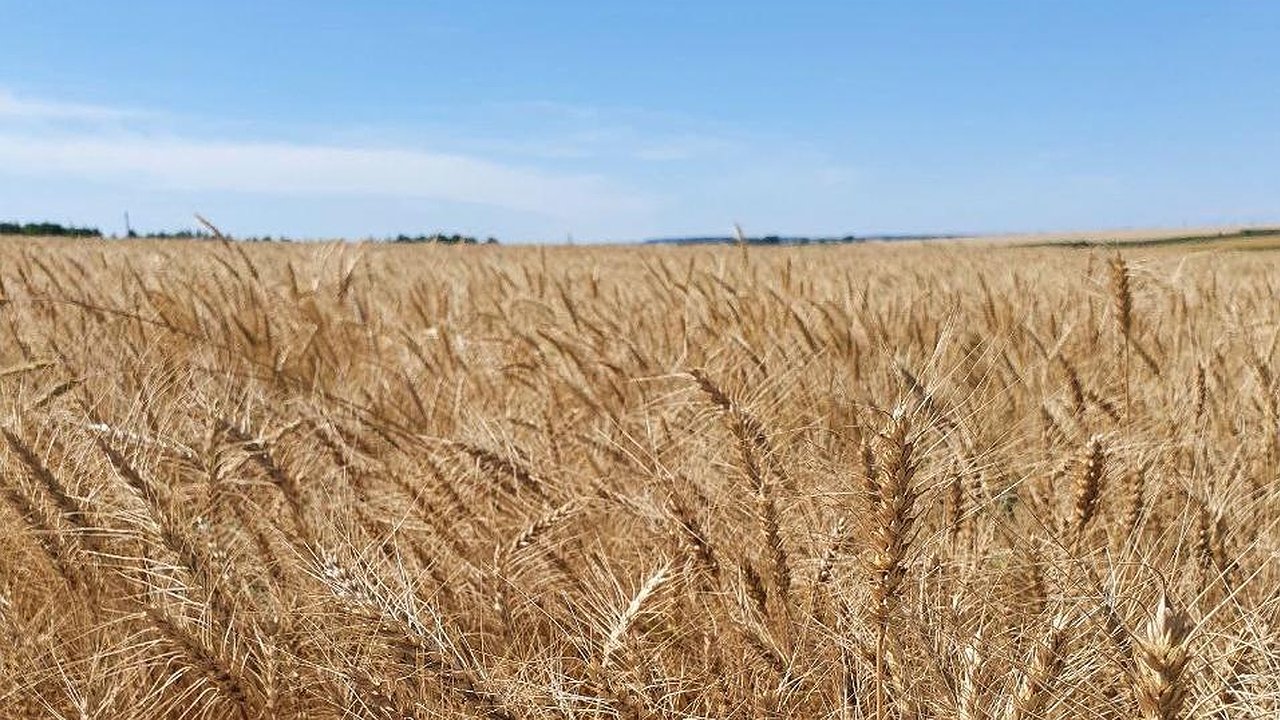 Главная картинка новости: Депутаты предложили вернуть в телеэфир сельский час