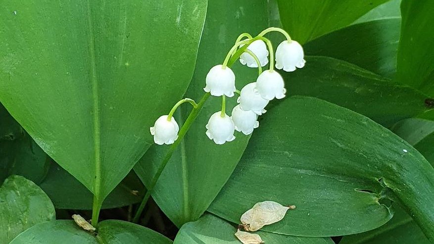 Главная картинка новости: В Татарстане побит 42-летний температурный рекорд