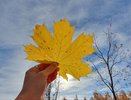 Выходные в Челнах: куда пойти 14 и 15 сентября