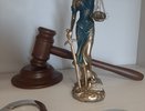 Челнинец, на чье авто упало дерево, смог взыскать кругленькую сумму 