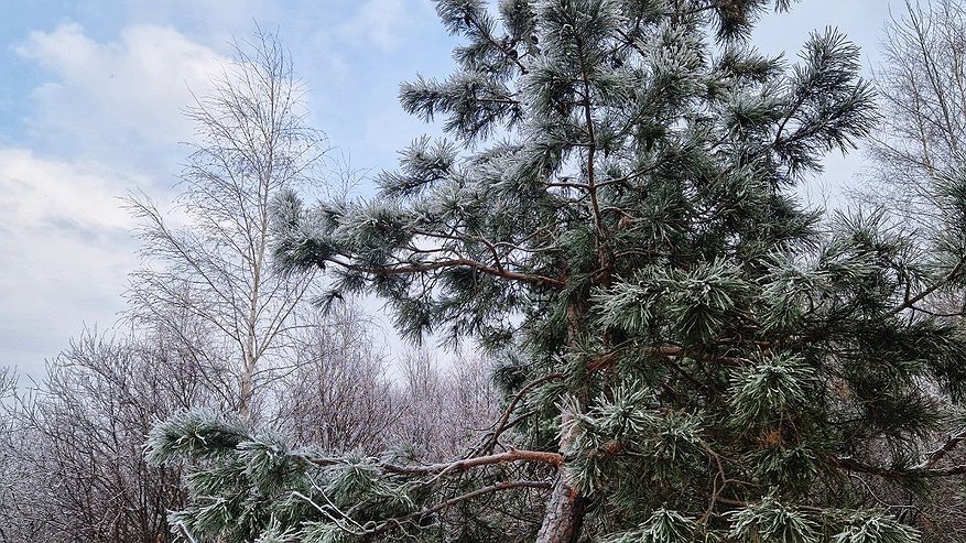 Главная картинка новости: В Татарстане похолодает до минус 28 
