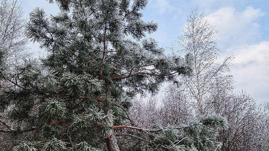 Главная картинка новости: В выходные в Татарстане похолодает до минус 22