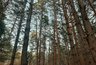Миниатюра новости: Со 2 по 7 сентября в Татарстане объявили штормовое предупреждение