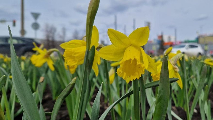 Главная картинка новости: В Татарстане потеплеет до плюс 19 градусов