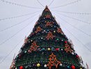 Названа дата открытия главной елки в Челнах