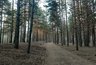 Миниатюра новости: Внимание!!! В Татарстане объявили штормовое предупреждение