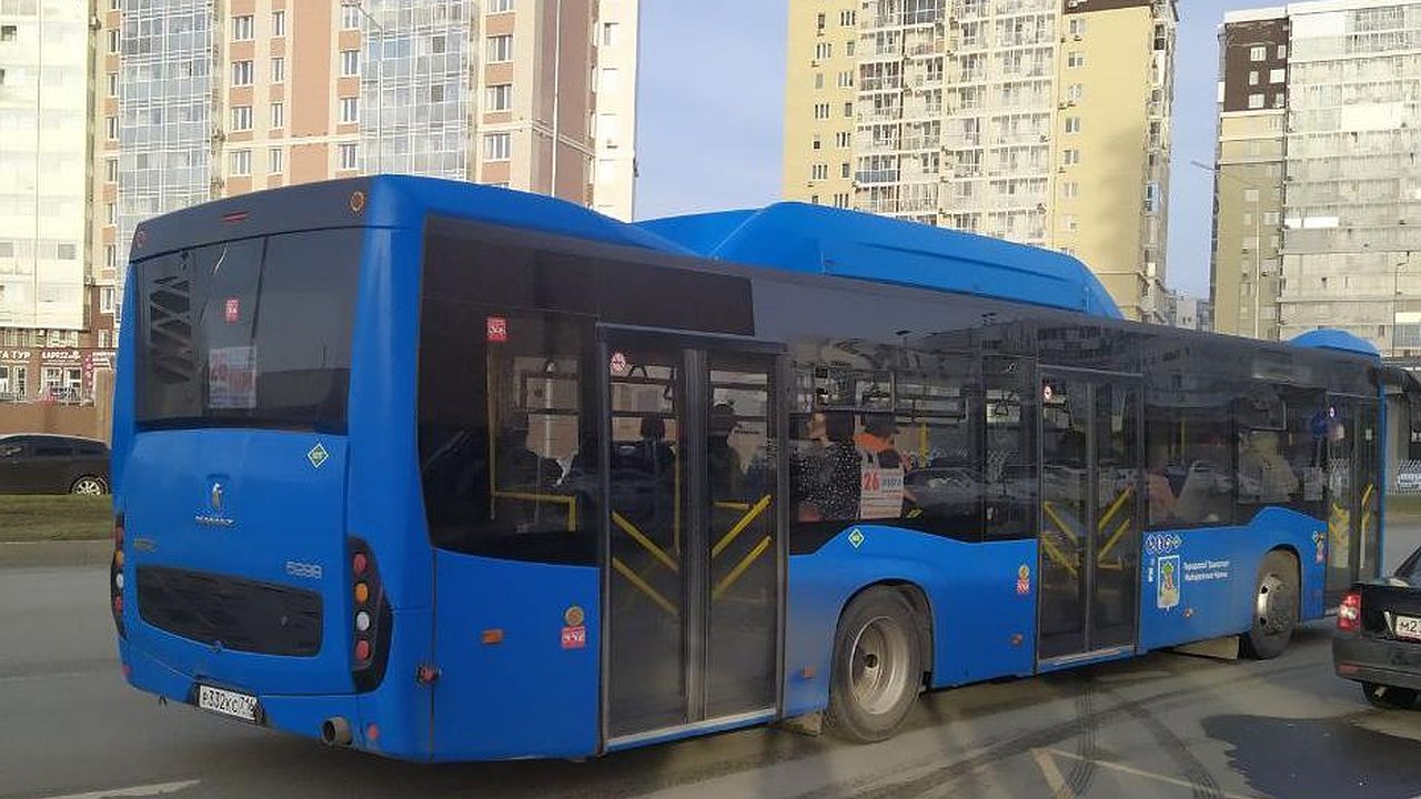 Главная картинка новости: Жителей Челнов просят оценить качество пассажирских перевозок