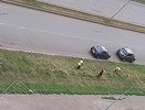 «Посадили деревья… а сегодня их спиливают под корень»